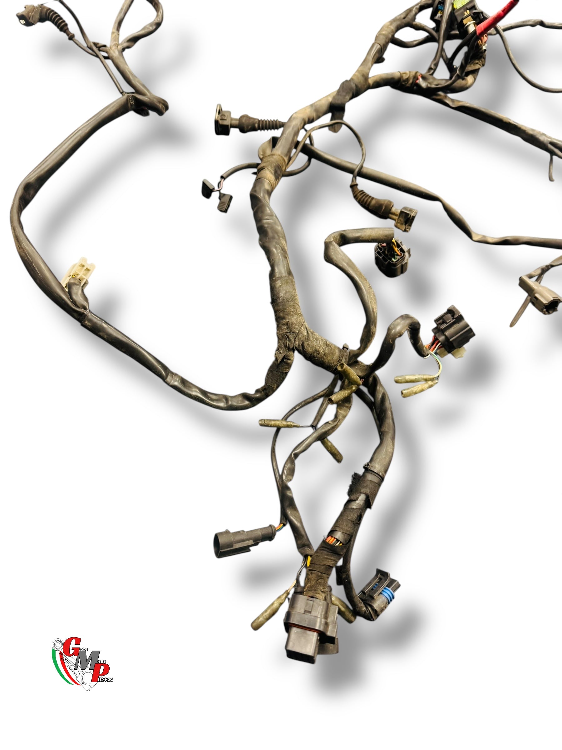 Faisceau électrique complet - Ducati