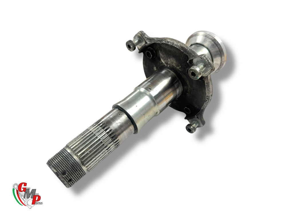 PIvot Fusée Moyeu support Disque de Frein arrière - Ducati