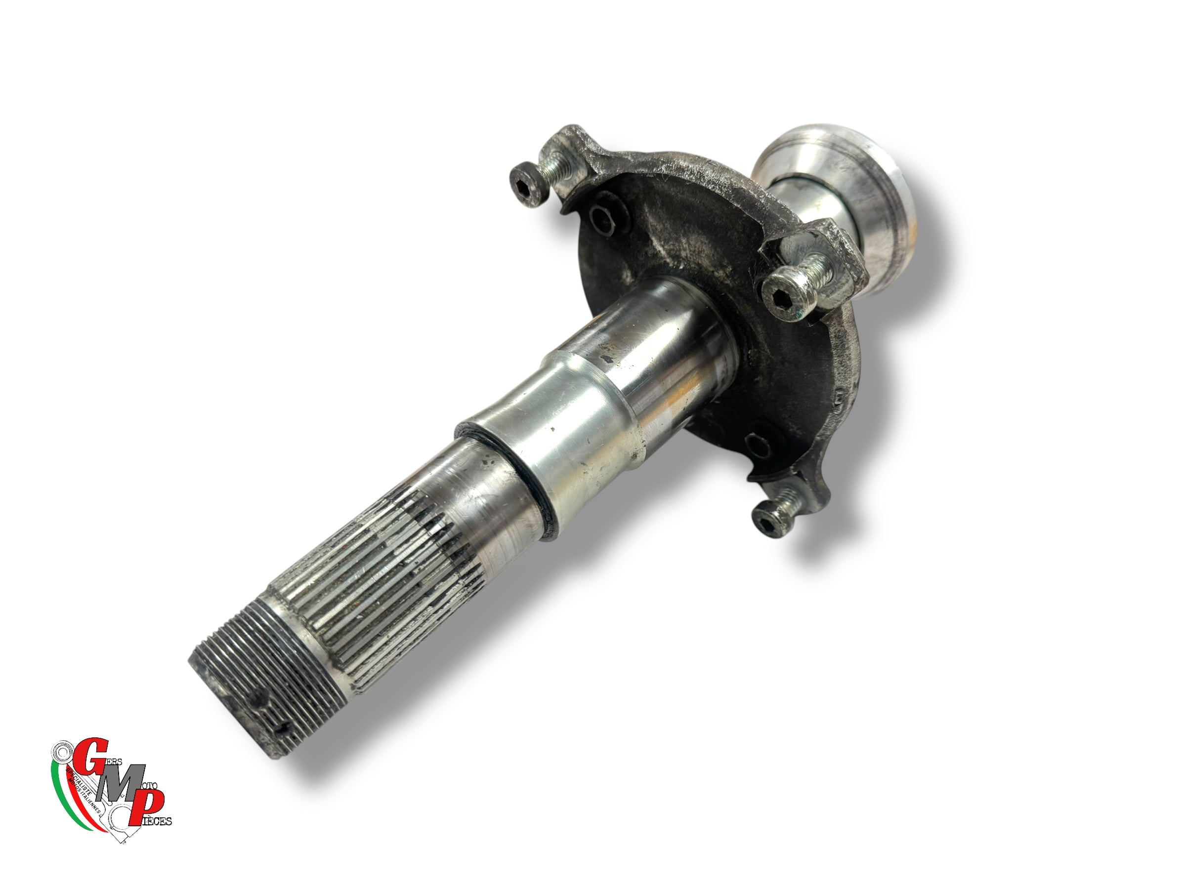 PIvot Fusée Moyeu support Disque de Frein arrière - Ducati